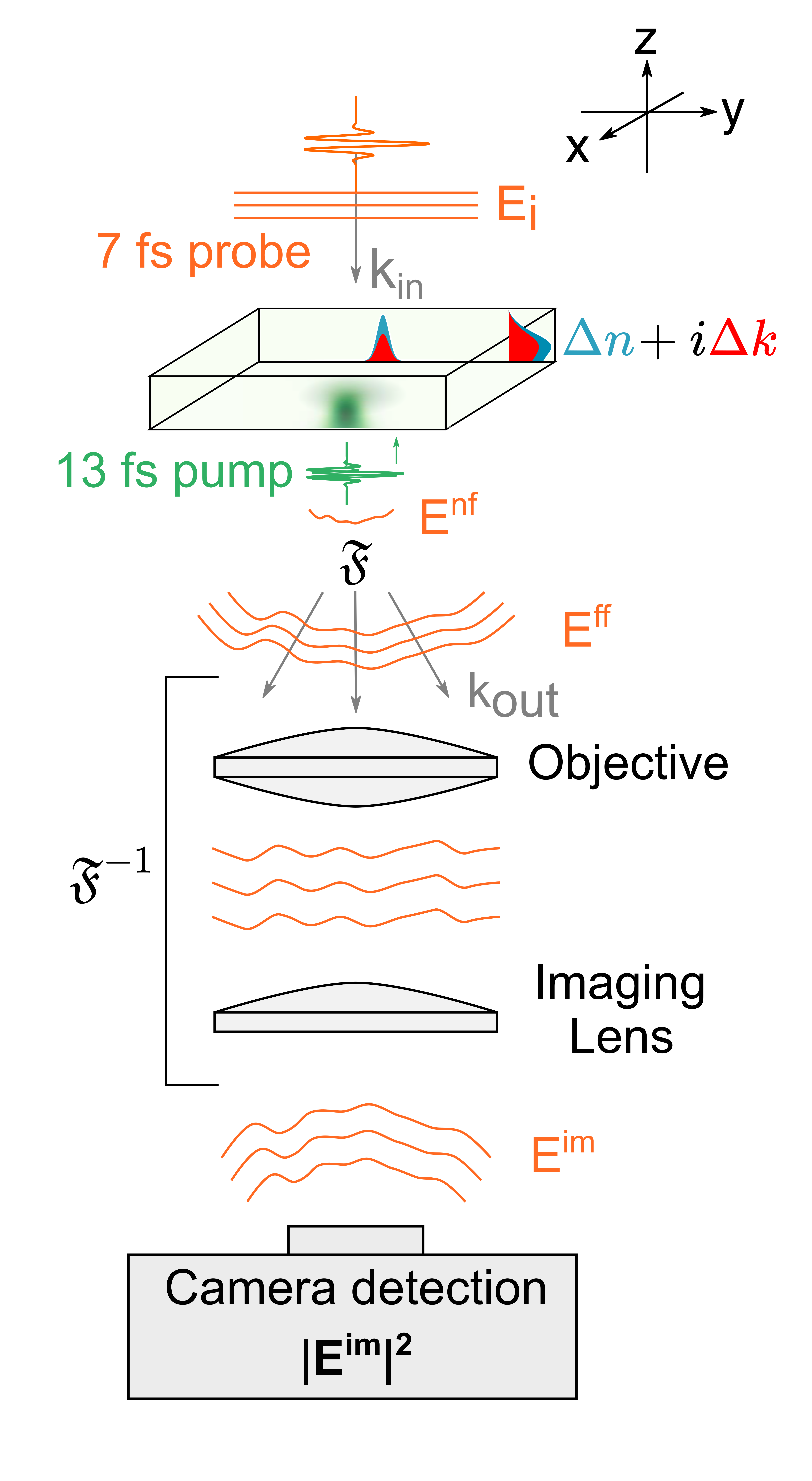 direct_observation_of_ultrafast_singlet_exciton_fission_in_three_dimensions