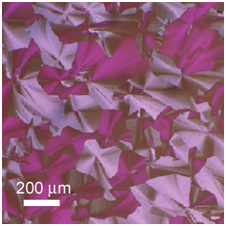 Morphology of a spin-coated, polycrystalline molecular semiconductor film.