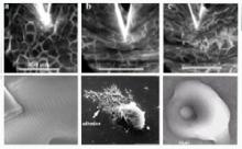 Micro-mechanics, imaging & spectroscopy of biostructures using optical tweezers