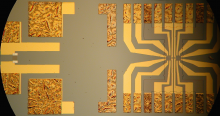 Surface acoustic wave device for quantum processing