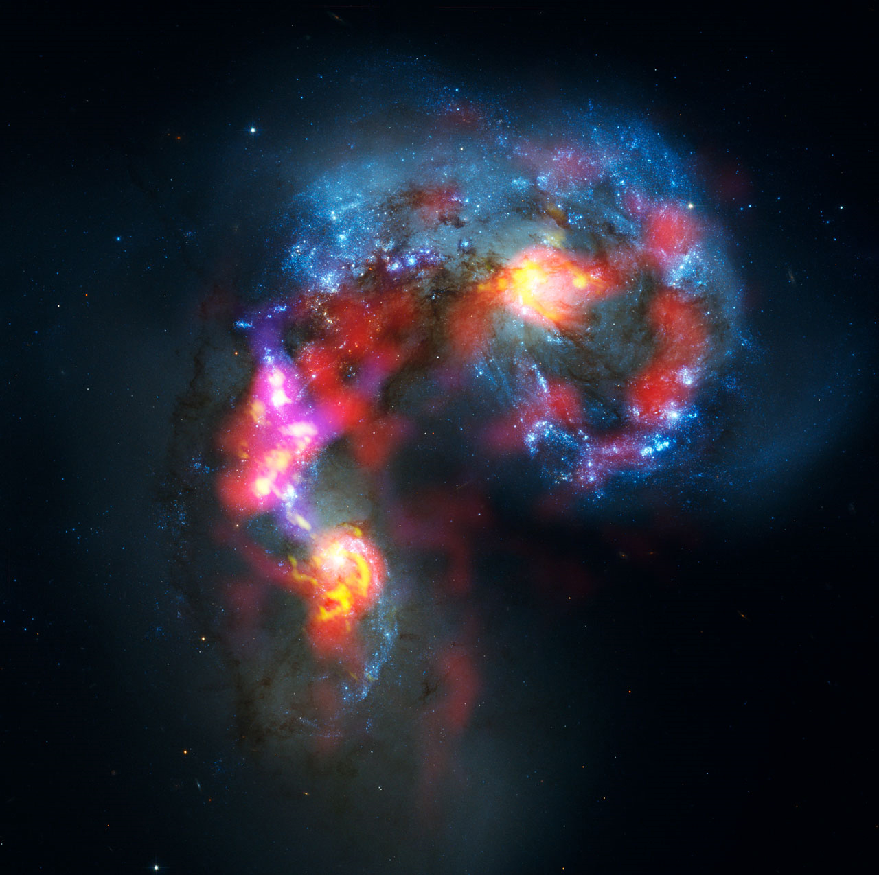 ALMA image of the Antennae nebula