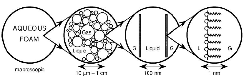 Length scales in complex fluids