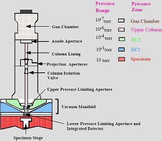 Lay-out of the Environmental Scanning Electron Microscope. (click for a larger picture)