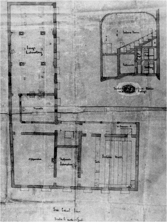 The Plans for the Old Cavendish