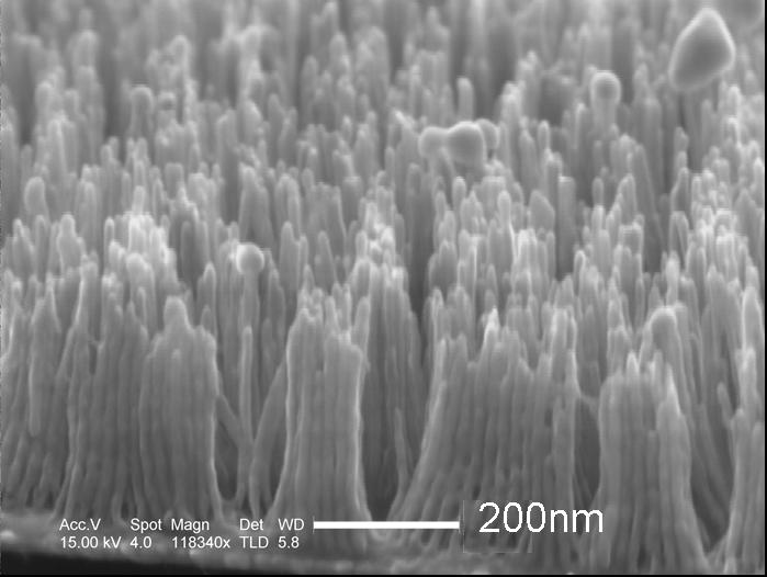 Free standing nanowire array grown electrochemically into a porous polystyrene template