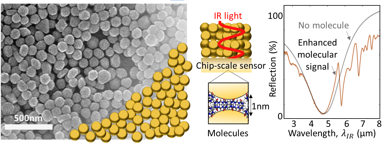 Bridging the visible and infrared using plasmonic nanocavities to control molecular optoelectronics