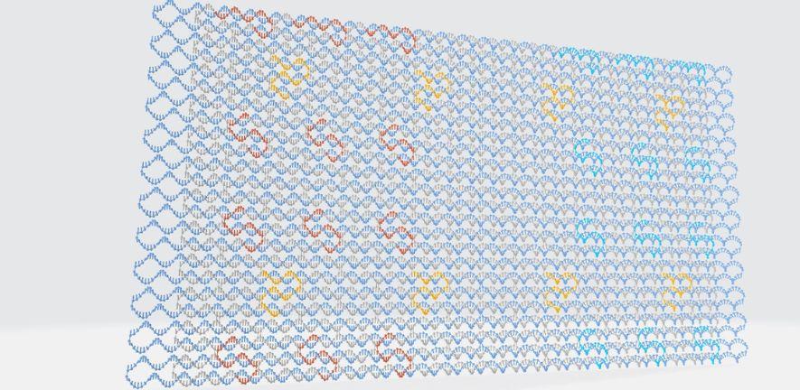 Coloured 3D view of a DNA origami plate
