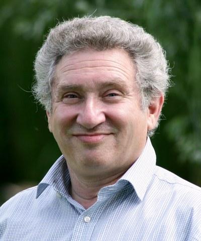 Professor David  Khmelnitskii