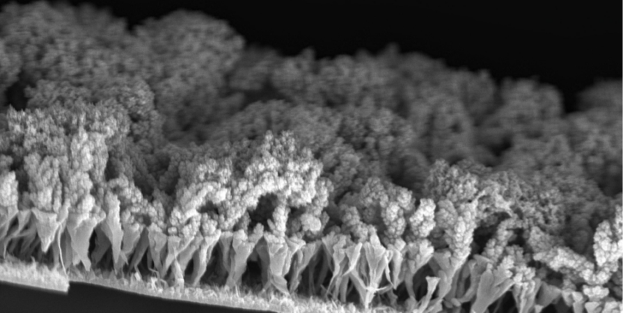 The nano-garden of a scientist