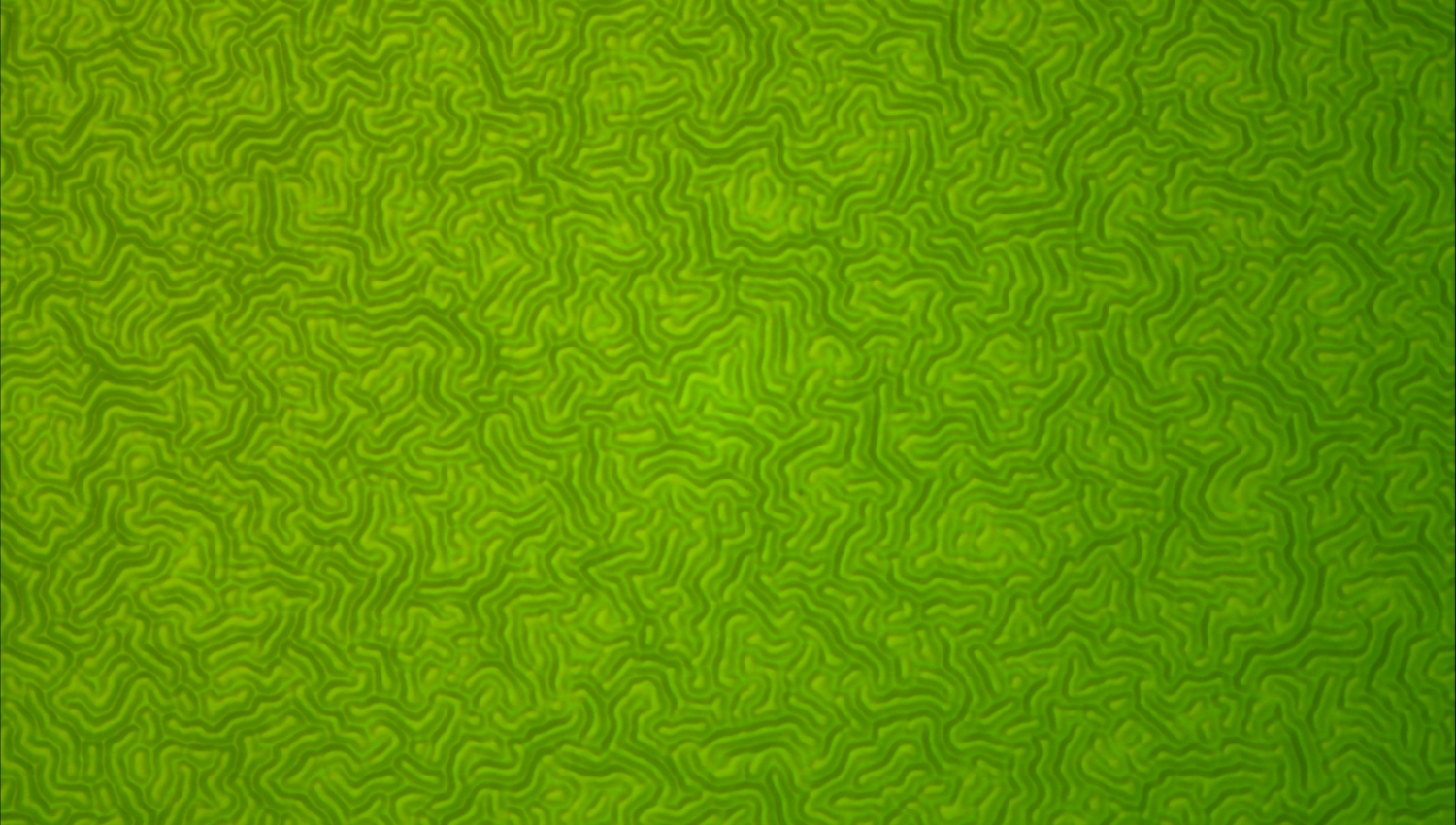 Wrinkles by Elliot Goldberg, Head of Department Prize 2025