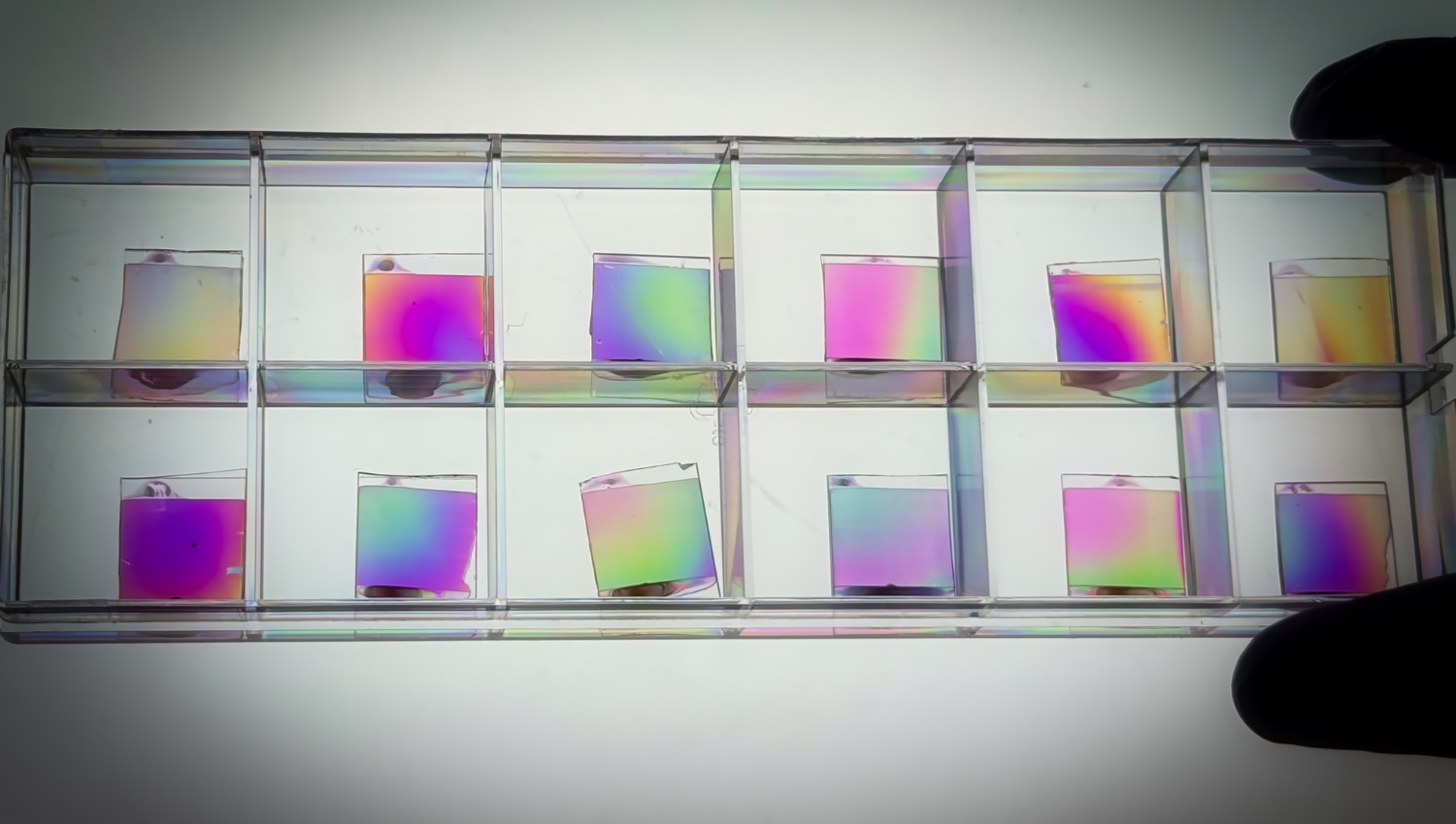 Rainbows from Order Hidden in Disorder by Juncheng Fan, Commended Entry 2025