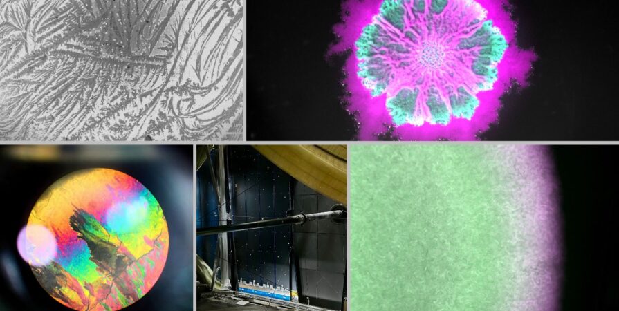 2026 Photo competition winning images